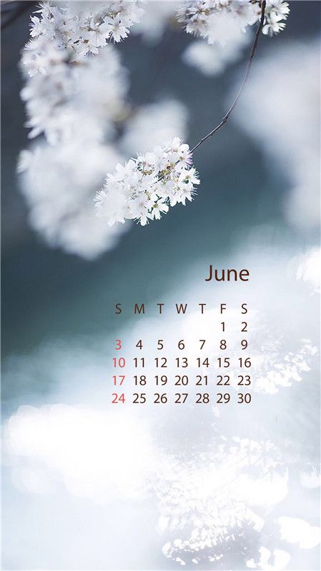 壁纸053031期:苹果六月日历手机壁纸高清大图 iphone六月日历壁纸图片