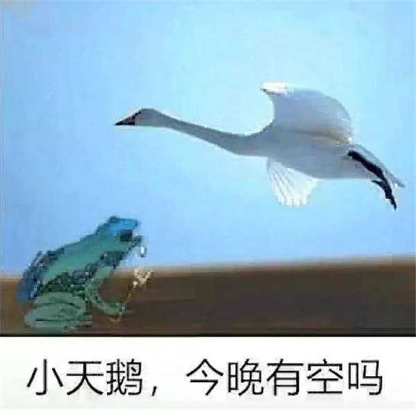 小天鹅给个机会表情包下载-抖音癞蛤蟆小天鹅给个机会