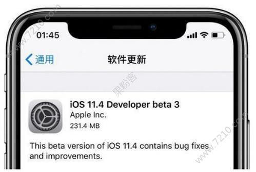 iOS11.4 beta3ôiOS11.4 beta3ֵø[ͼ]ͼƬ3