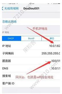 iPhoneô鿴ֻipַƻiPhone鿴ֻipַķͼƬ3