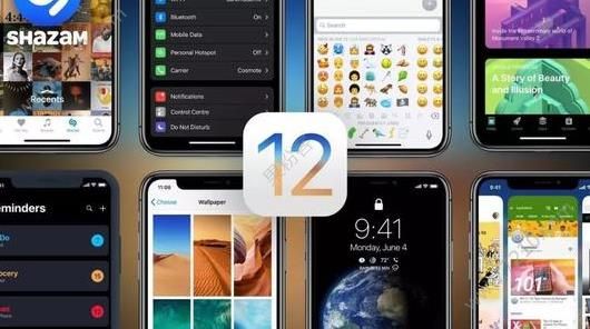 ios12ƳֽܣΪֻͼƬ1