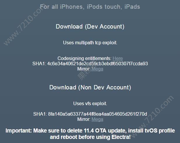 ElectraԽ1.0.3淢֧iOS11.4beta1-beta3̳̣ͼƬ2