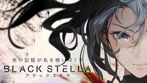 BLACK STELLAƻ氲װ v1.0ͼ3