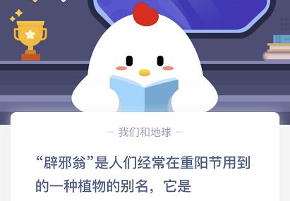 ����ׯ԰��а����ʲôֲ��ı�����10.25����ׯ԰���մ�[��ͼ]