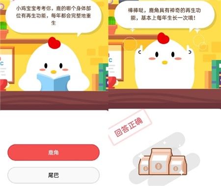 ����һ����������60-100�ξ���һ���������Ǽ��Σ�10.26����ׯ԰���մ�[��ͼ]