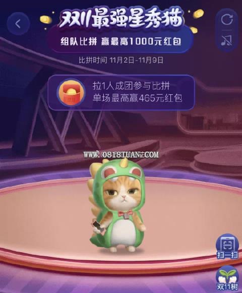 ��ǿ����èʲôʱ�������˫ʮһ����è��ֹʱ��[��ͼ]