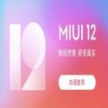 MIUI12 20.11.24װ