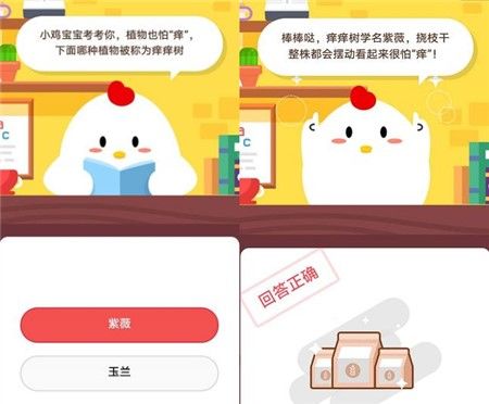 ֲ��Ҳ������������ֲ�ﱻ��Ϊ������������ׯ԰11��9�ս���Ĵ�[��ͼ]