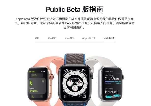 watchOS 7.2betaʽļ ͼ1