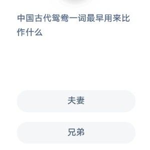 �й��Ŵ�ԧ��һ��������������ʲô ����ׯ԰2020��11��4�մ�����[��ͼ]