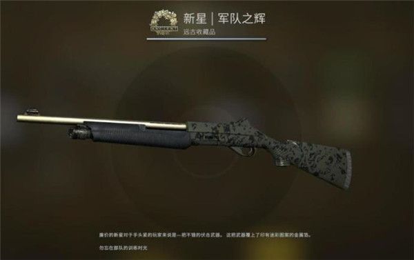 CSGO狂牙大行动箱子奖励内容一览：狂牙大行动箱子全部皮肤介绍[多图]图片59