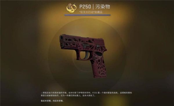 CSGOжӽһжȫƤ[ͼ]ͼƬ5