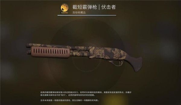 CSGO狂牙大行动箱子奖励内容一览：狂牙大行动箱子全部皮肤介绍[多图]图片40