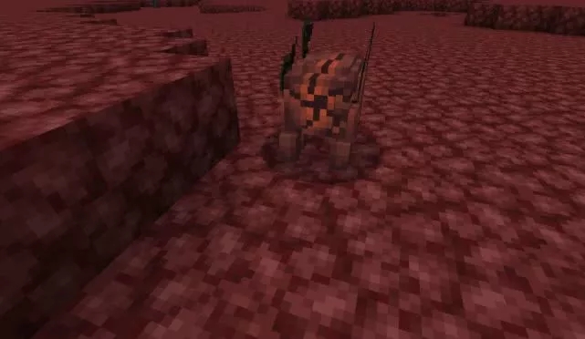 �ҵ���������֮������ŧҺ��ô�ã�����ŧҺ����������[��ͼ]