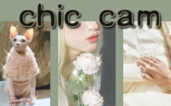 chiccam�����ô�ã���ͼchiccam���ʹ�÷���ָ��[��ͼ]