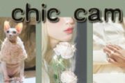 chiccamôãͼchiccamʹ÷ָ[ͼ]