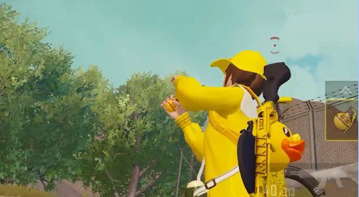 ��ƽ��ӢС��Ѽ������ô���䣿С��Ѽ���׼۸��ʹ�÷���[��ͼ]