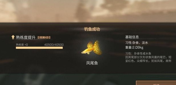 ����֮���β���������ã�����β��ص㷽��һ��[��ͼ]