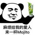 鷳ҵİһmojitoͼƬˮӡ v1.0