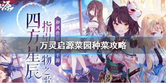 ������Դ��ô�ֲˣ���ô���ʳ�ģ���԰�ֲ˻��ʳ�ķ���[��ͼ]