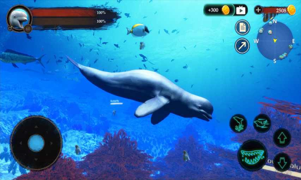 ׾Ϸ(The Beluga Whale) v1.0.1ͼ2