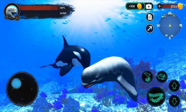 ׾Ϸ(The Beluga Whale) v1.0.1ͼ3