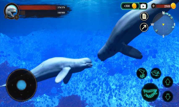 ׾Ϸ(The Beluga Whale) v1.0.1ͼ1