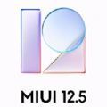 MIUI12.5 21.6.11ˢ