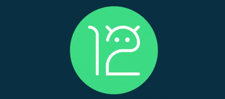 Android 12 Beta 2.1ʽͼ2