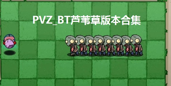 PVZ_BT«έݰ汾ϼ