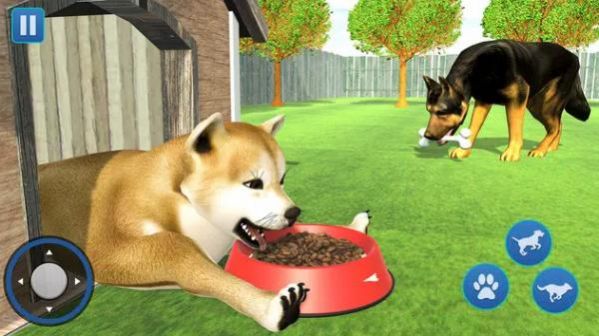 ģ3DϷ2022ֻ棨Dog Life Simulator 3D GameͼƬ1